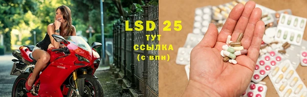 ПСИЛОЦИБИНОВЫЕ ГРИБЫ Кодинск