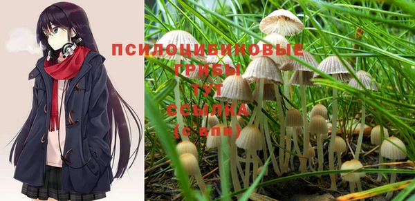 ПСИЛОЦИБИНОВЫЕ ГРИБЫ Кодинск