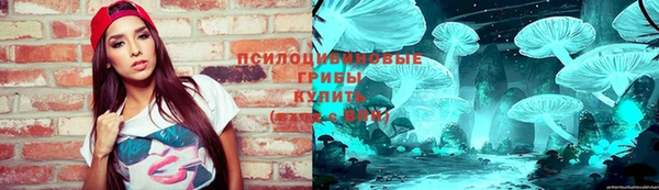 скорость Козельск