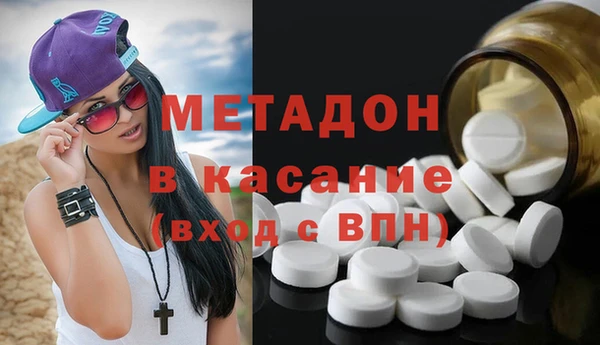 ПСИЛОЦИБИНОВЫЕ ГРИБЫ Щучье