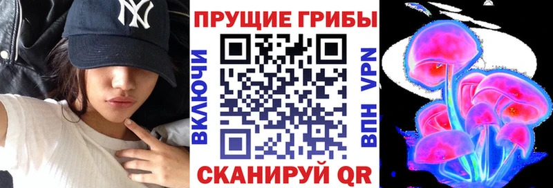 Галлюциногенные грибы GOLDEN TEACHER  Тогучин 